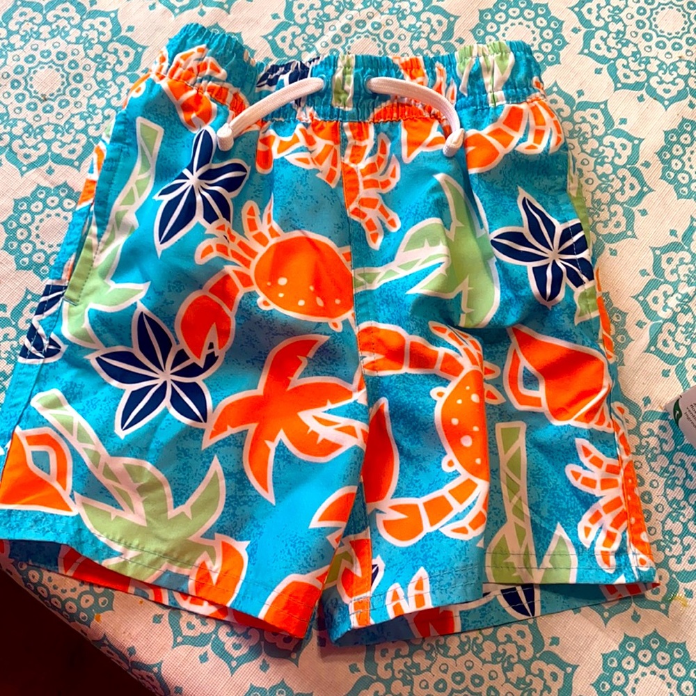 Toddler boys swim trunk